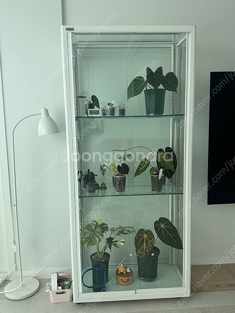 로렌스 식물 온실장 판매 (식물등,쿨링팬 포함)--0